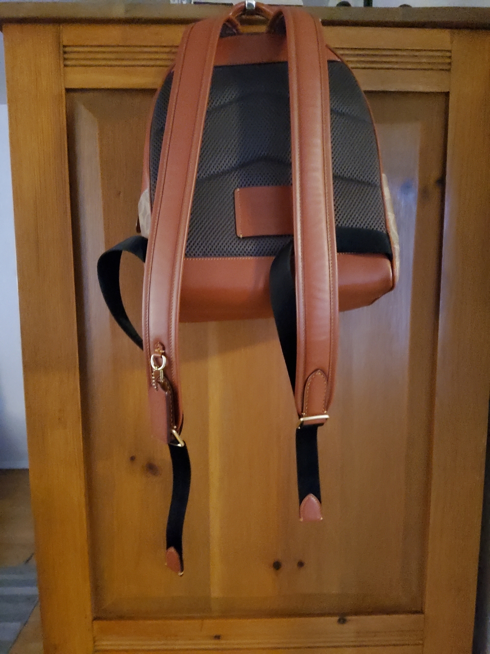 Coach Charter Backpack C8847 Beyond EUC - Picture 15 of 16